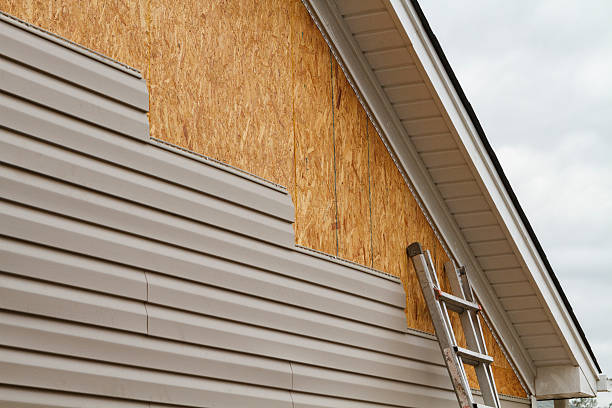 Professional Vinyl Siding technician working in Tarpon Springs, FL
